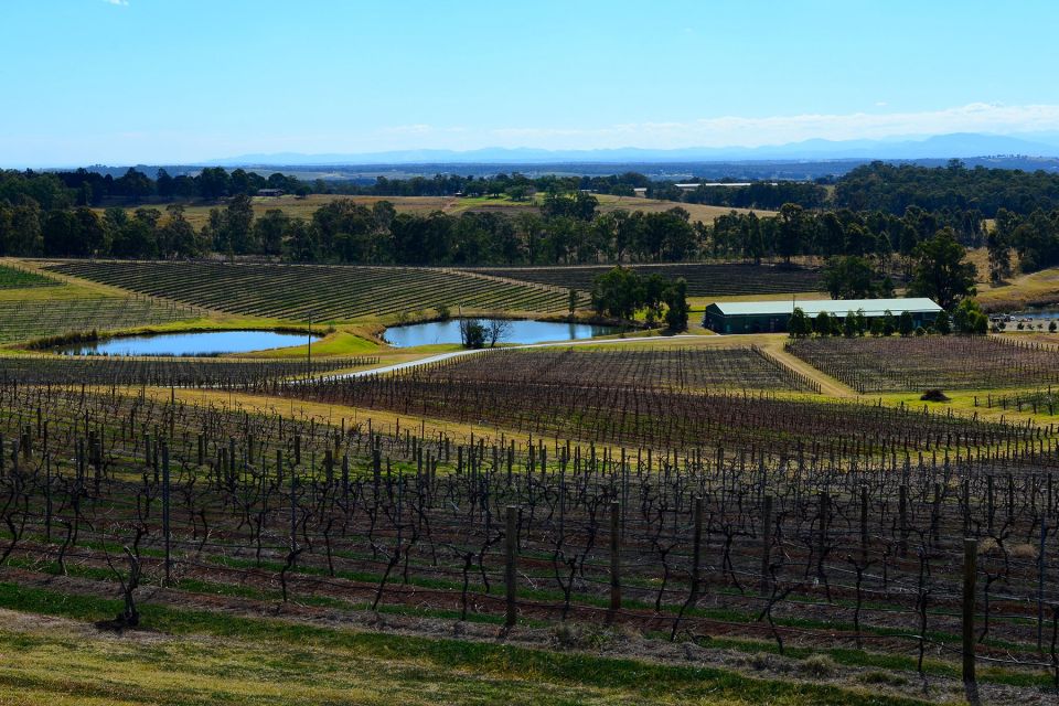 Chef-Led Hunter Valley Food & Wine Tour From Sydney - Booking Information