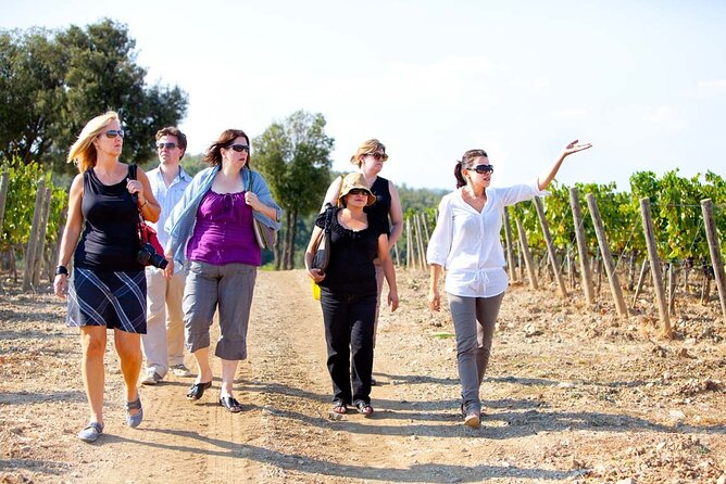 Chianti and Supertuscan Private Tour With Lunch From Livorno - Scenic Views and Photo Ops