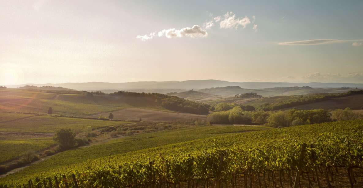 Chianti Classico and Super Tuscan Wine Tour - Common questions