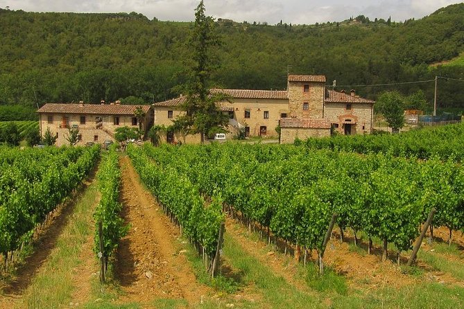 Chianti From Florence:Private Wine, Olive Oil Tasting in the Tuscan Countryside - Reviews and Ratings