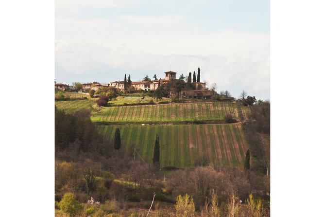 Chianti Wine Tour From Florence to San Gimignano With 2 Wineries - San Gimignano Exploration