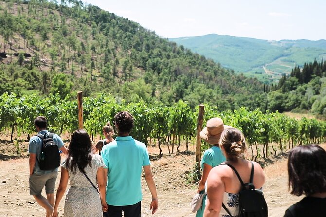 Chianti Wine Tour: Two Wine Tastings, Vineyards and Cellar Visit - Additional Tour Information