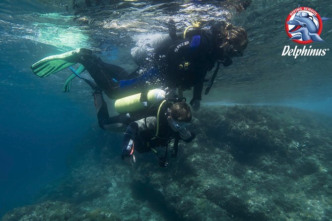 Childrens PADI Diving Experience in Gran Canaria - Additional Information