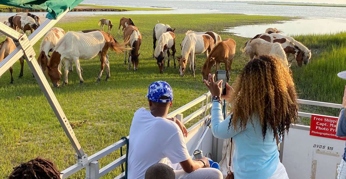 Chincoteague: Assateague Island Sunset Boat Cruise - Inclusions and Ratings