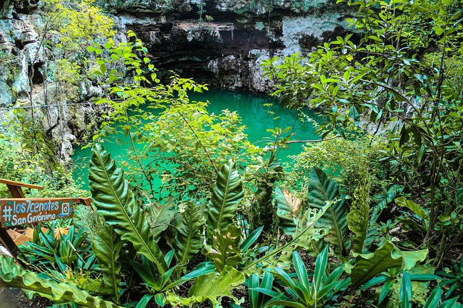 Choose Your Experience to Live in Los 7 Cenotes San Gerónimo - Last Words