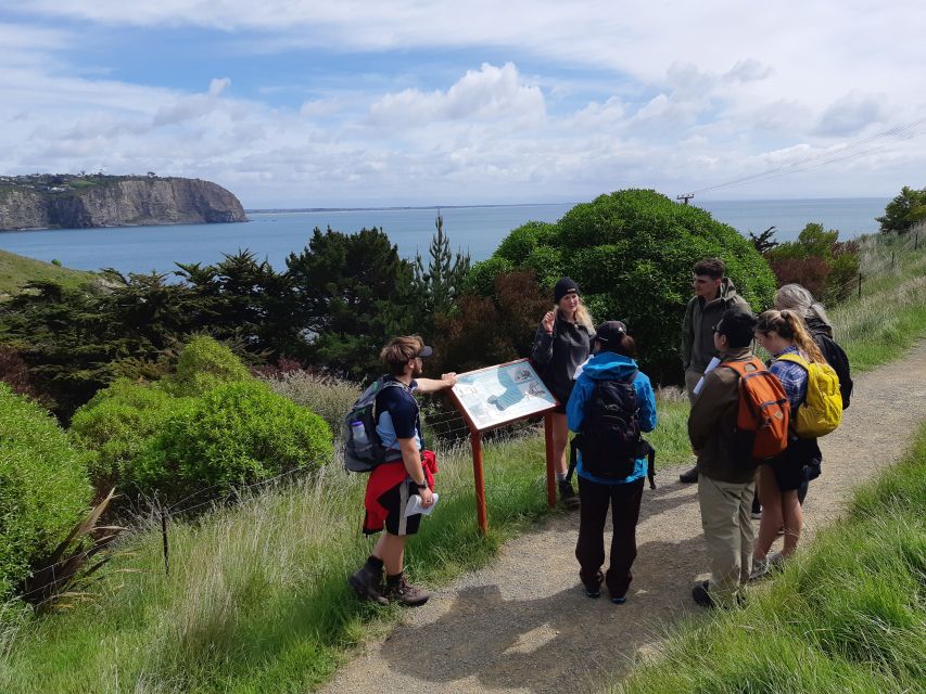 Christchurch: Godley Head & Lyttelton Guided Walking Tour - Logistics