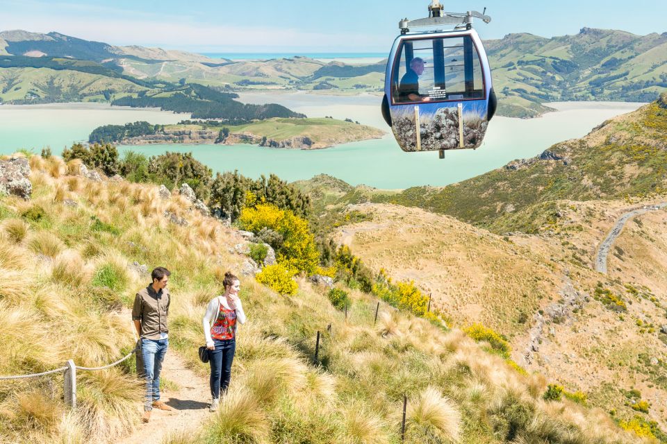 Christchurch: Gondola Ride - Logistics