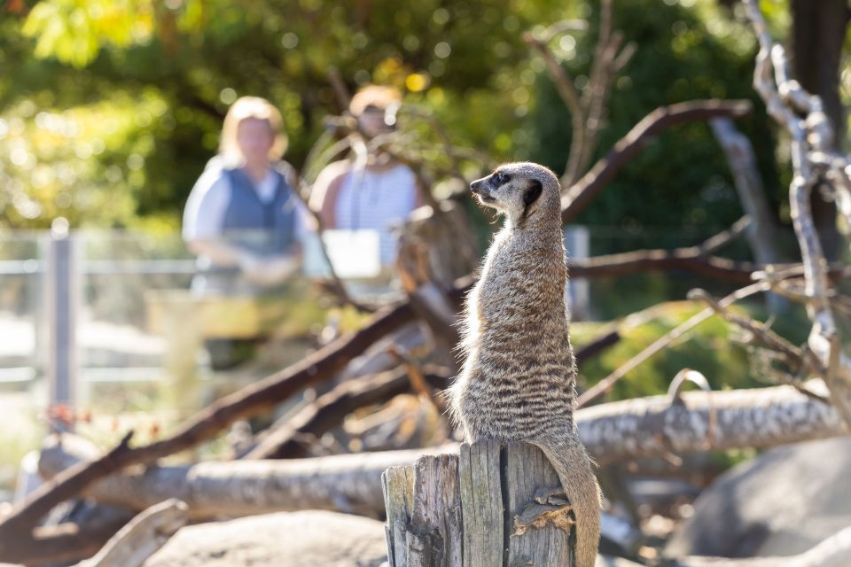 Christchurch: Orana Wildlife Park Admission - Common questions