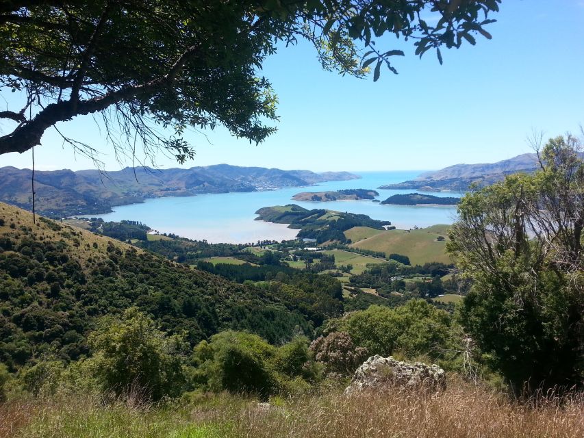 Christchurch: Packhorse Hut Guided Walk and Scenic Drive - Pickup Information