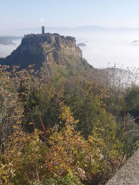 Civita Di Bagnoregio the Dying City Private Tour From Rome - Booking Policies and Procedures