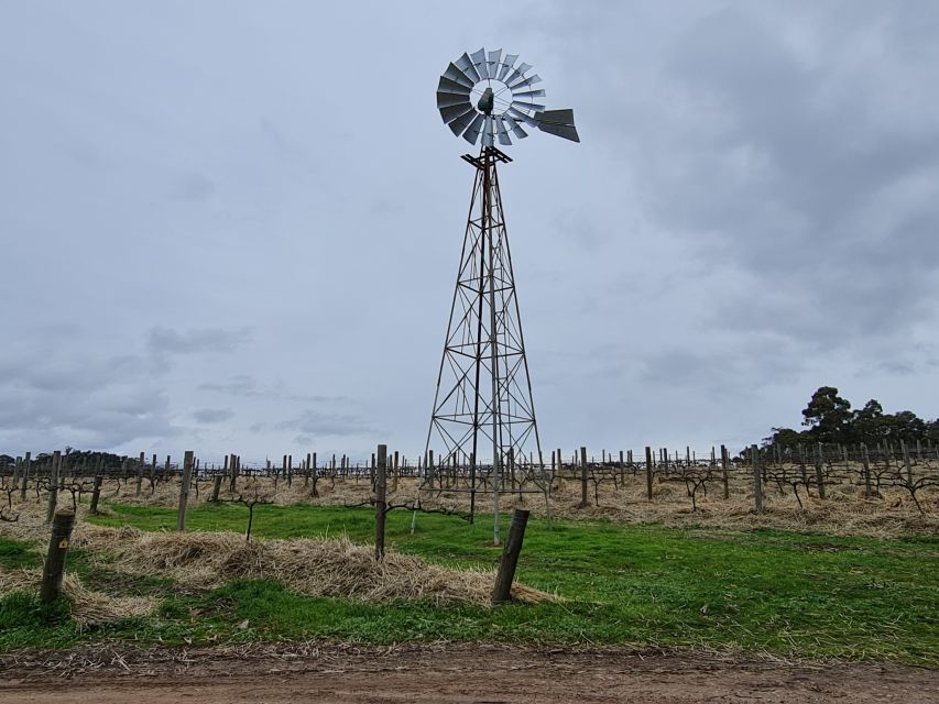 Clare Valley Pickup: Sightseeing & Wine Tour. Local Business - Customer Reviews