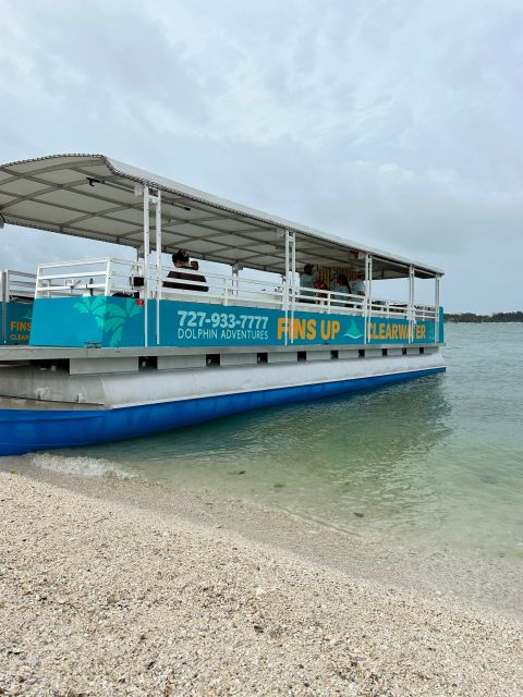 Clearwater Beach: Dolphin and Sandbar Boat Cruise - Activity Inclusions