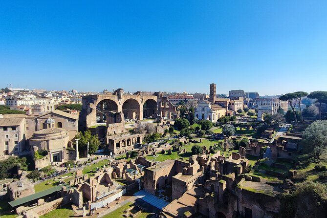 Colosseum, Roman Forum & Palatine Hill: Full Experience - Reviews and Additional Information