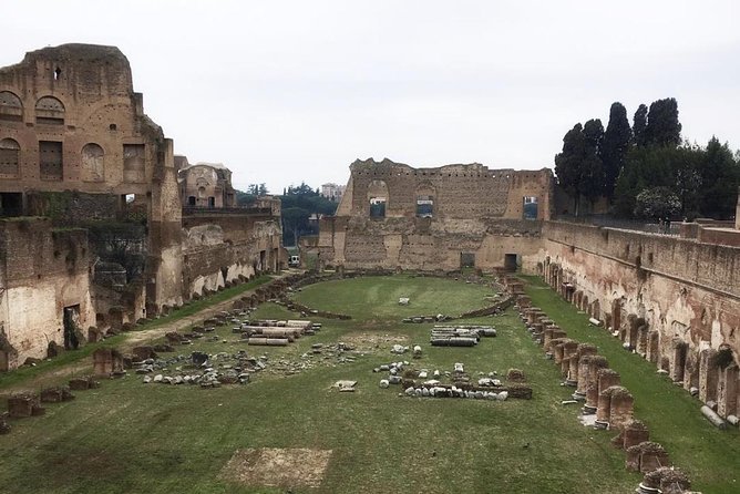 Colosseum With Arena Floor, Roman Forum and Palatine Hill - Private Tour - Cancellation Policy Details