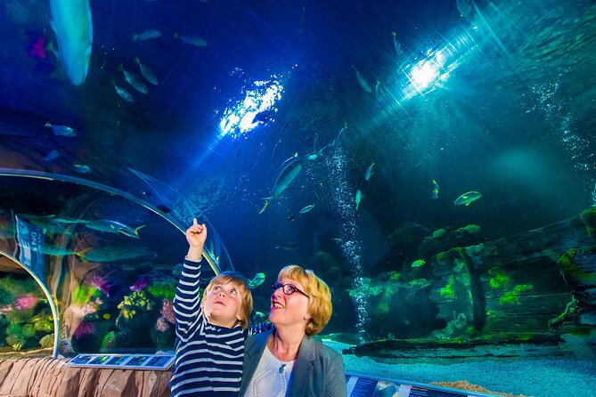 Combi Ticket LEGOLAND Discovery Centre, Madame Tussauds, SEA LIFE - Refund Policy Summary