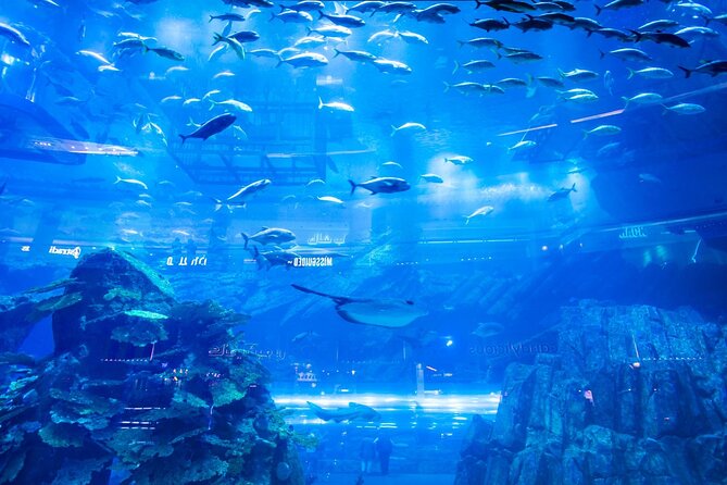 Combo Dubai Mall Aquarium Skyview Observatory Tickets - Product Details