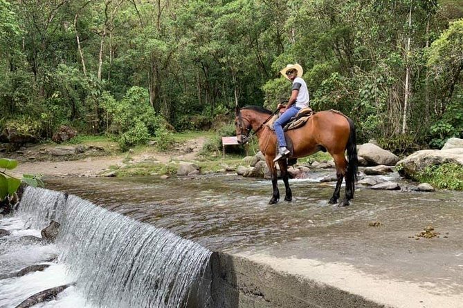 Complete Horseback Riding Valle Del Cocora - Directions