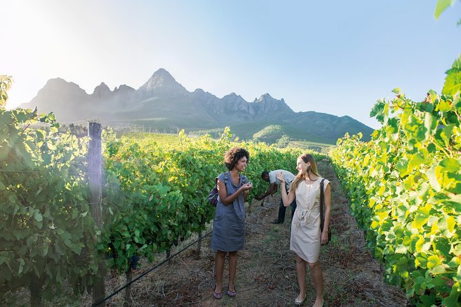 Constantia Winelands Private Wine Tour From Cape Town - Transportation Details