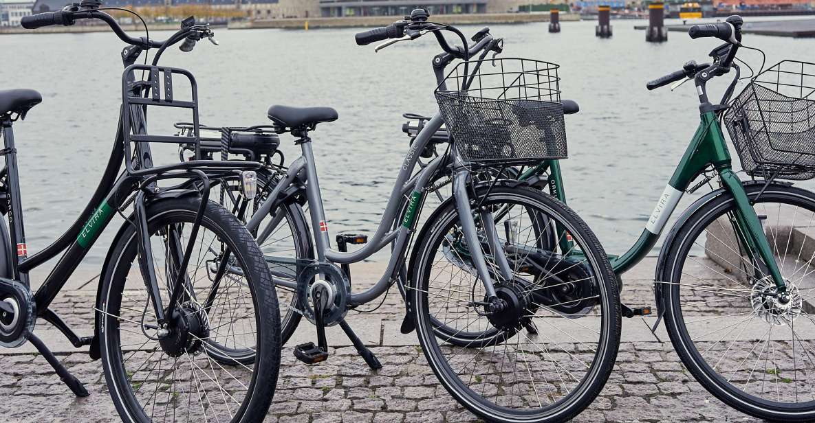 Copenhagen E-Bike Rental - Safety and Regulations