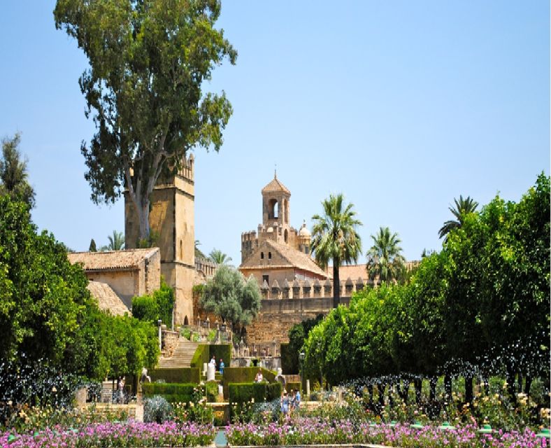 Cordoba: Alcazar of Christian Monarchs 1–Hour Guided Tour - Customer Reviews