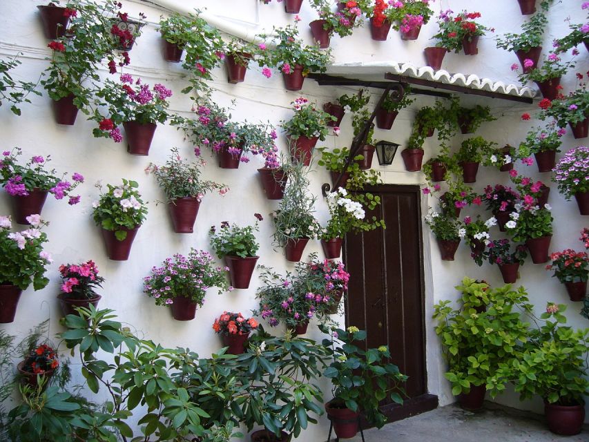 Córdoba: Private Guided Walking Tour - Inclusions