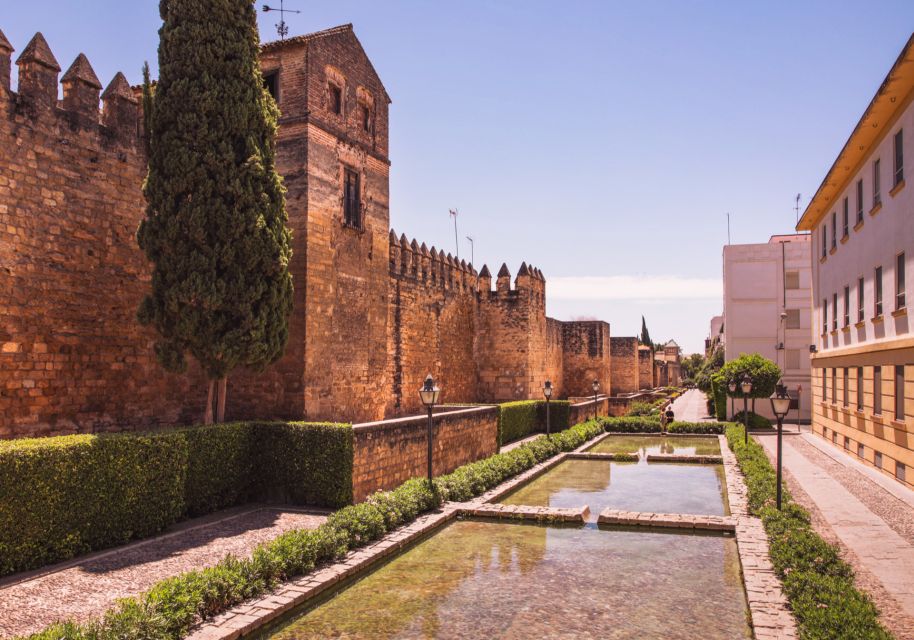 Córdoba: Scavenger Hunt and City Highlights Walking Tour - Customer Reviews