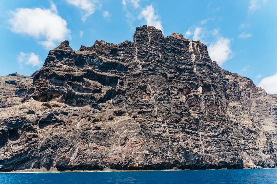 Costa Adeje: Masca and Los Gigantes Whale Watching Cruise - Review Summary