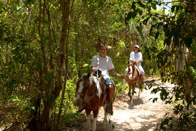 Cozumel Beach Horseback Riding Tour - Directions
