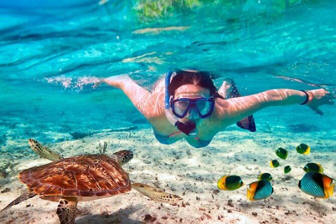 Cozumel: Small Group Glass Bottom Boat Snorkeling Tour - Important Information