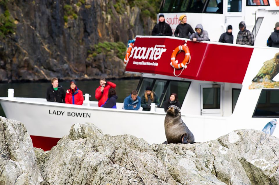 Cruise & Kayak Milford Sound - Important Information