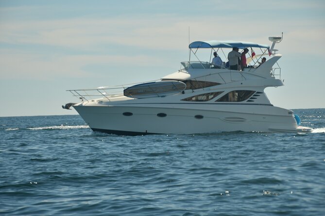 Cruise on a Magnificent Yacht Through Cabo San Lucas Bay. - Water Activities and Beach Exploration