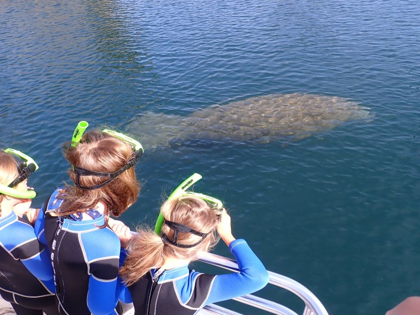 Crystal River: Manatee Swim Group Tour - Location Information