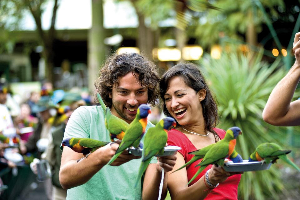 Currumbin Wildlife Sanctuary: Entry & TreeTops Challenge - Directions and Requirements