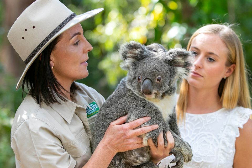 Currumbin Wildlife Sanctuary Ticket & Koala Photo - Important Details