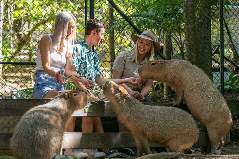 Currumbin Wildlife Sanctuary Ticket - Important Details to Note