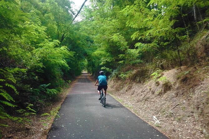 Cycling Ecopista Do Dão One Way, Full-Day From Coimbra - Booking Instructions