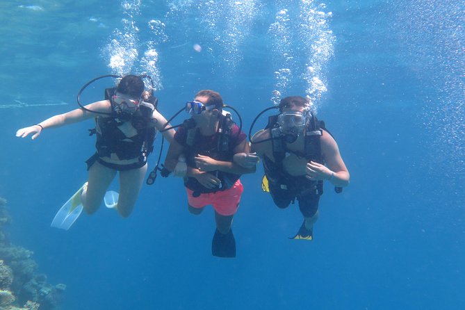 Daily 2 Dives With Equipment From Hurghada - Traveler Feedback and Ratings