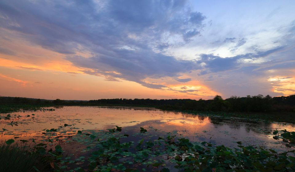 Darwin: Fogg Dam Wetlands Sunset & Humpty Doo Hotel Tour - Reviews