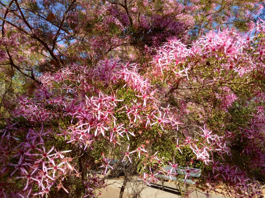 Darwin: Litchfield National Park and Berry Springs Day Tour - Inclusions