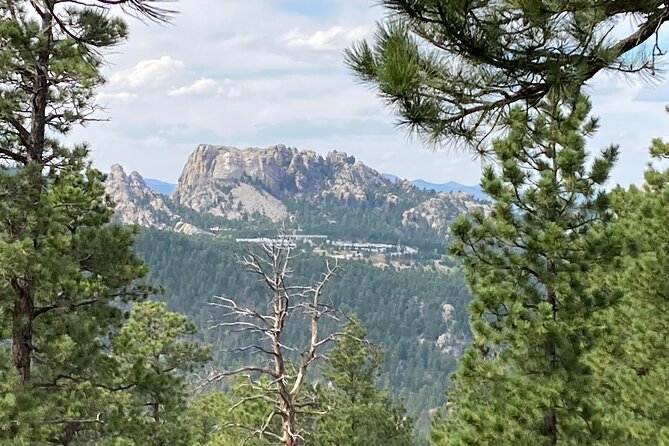 Day Trip of the Black Hills: Mount Rushmore to Custer State Park! - Common questions