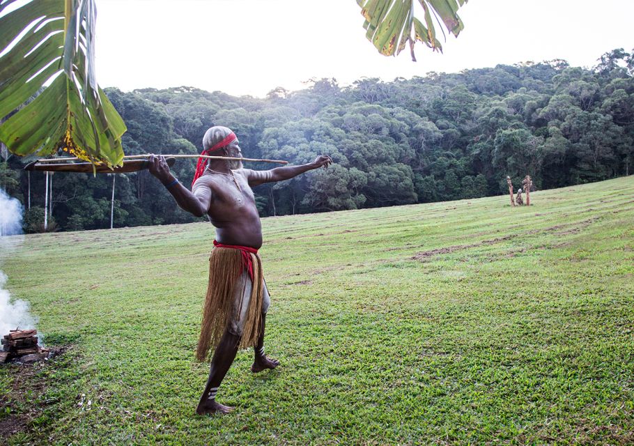 Day Trip: Rainforest & Aboriginal Culture Tour - Customer Reviews