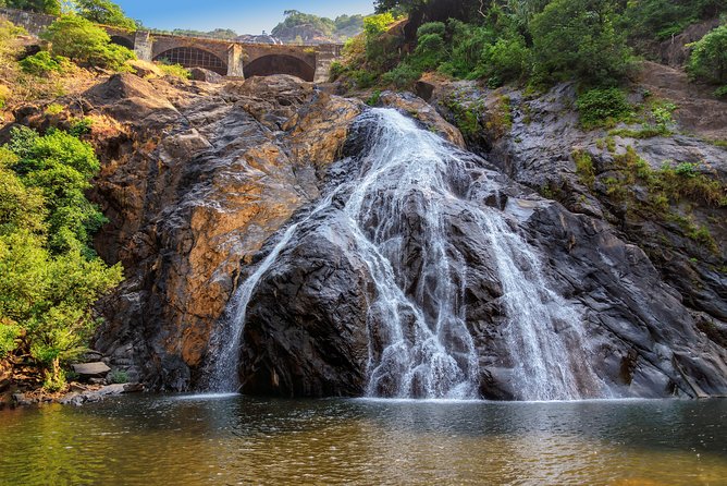 Day Trip to Mollem National Park Including Dudhsagar Falls and Jeep Safari From Goa - Swimming at the Waterfall: Refreshing Dive