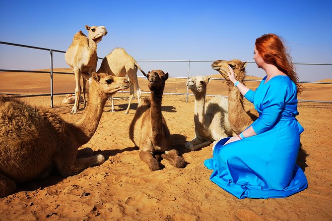 Desert Buggy With Camp Dinner and Entertainment - Viator Help Center Features