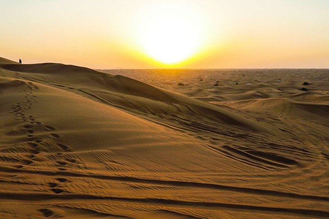 Desert Safari Arabia & Dinner BBQ & Camel Riding - Experience Highlights