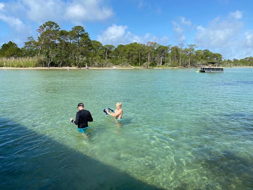 Destin: Snorkeling and Dolphin Watching Cruise - Review Summary