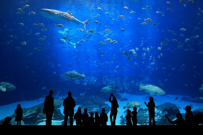 Discover Pattaya Underwater World With FREE Hotel Pickup - Additional Information