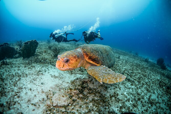 Discover Scuba Diving & Beach Club With Transportation in Riviera Maya - Health and Safety Guidelines