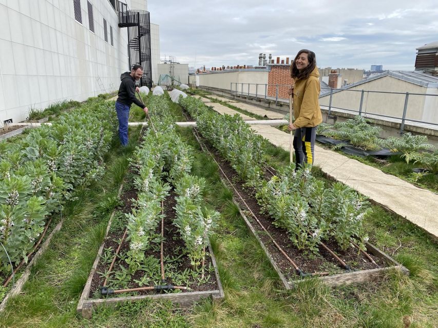 Discover the Opéra Bastille Rooftop Farm - Meeting Point and Rooftop Access