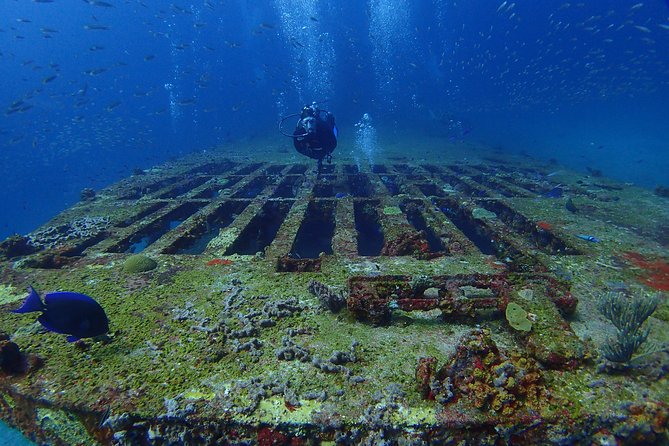 Diving in Cancun for Certified Divers 2 Dives All Inclusive - Participant Experience and Customer Support