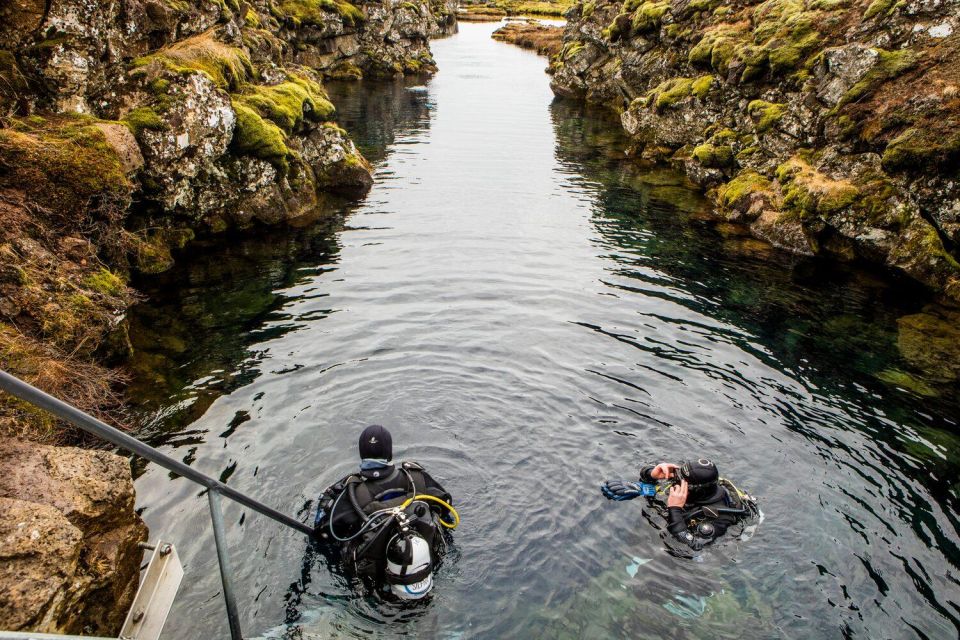 Diving in Silfra Fissure in Thingvellir National Park - Customer Reviews